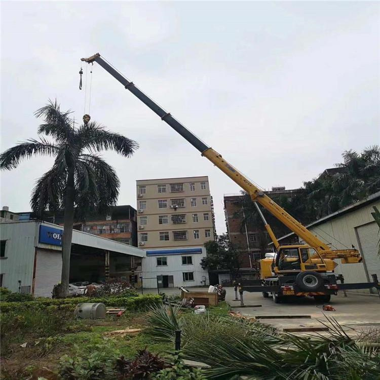 天柱汽车吊出租多少钱？全面解析与市场行情